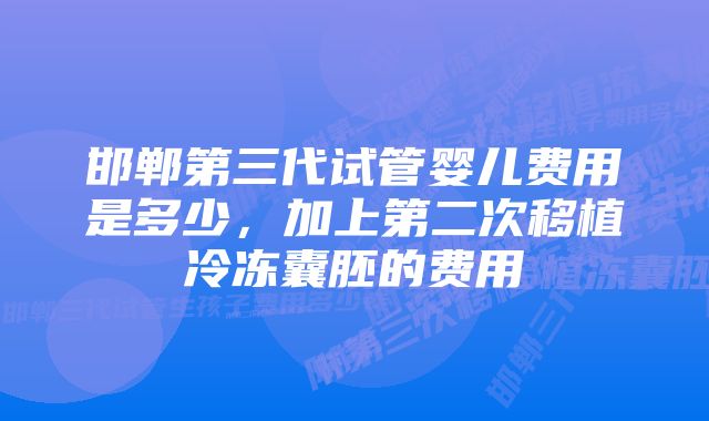 邯郸第三代试管婴儿费用是多少，加上第二次移植冷冻囊胚的费用