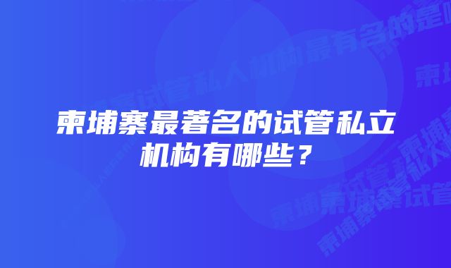 柬埔寨最著名的试管私立机构有哪些？