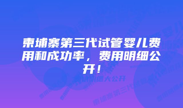 柬埔寨第三代试管婴儿费用和成功率，费用明细公开！