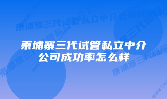 柬埔寨三代试管私立中介公司成功率怎么样