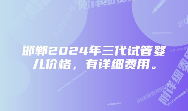 邯郸2024年三代试管婴儿价格，有详细费用。