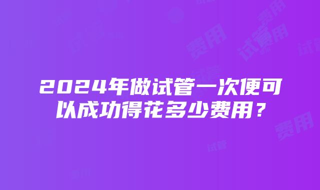 2024年做试管一次便可以成功得花多少费用？