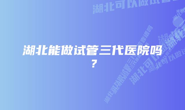 湖北能做试管三代医院吗？