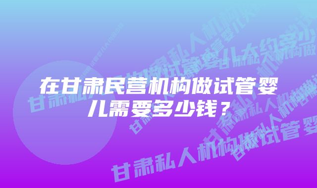 在甘肃民营机构做试管婴儿需要多少钱？