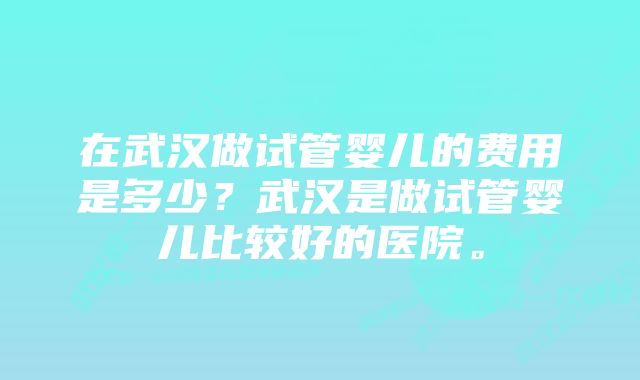 在武汉做试管婴儿的费用是多少？武汉是做试管婴儿比较好的医院。