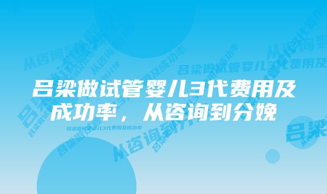 吕梁做试管婴儿3代费用及成功率，从咨询到分娩