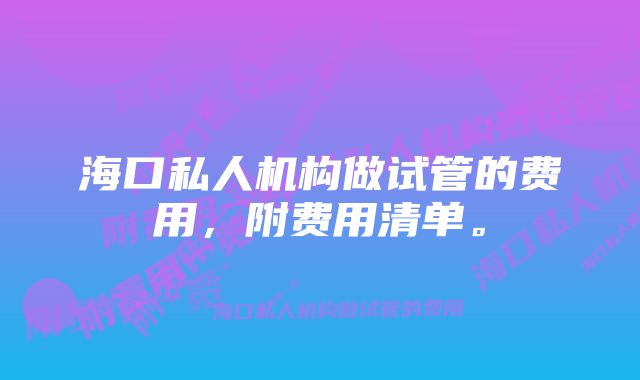 海口私人机构做试管的费用，附费用清单。