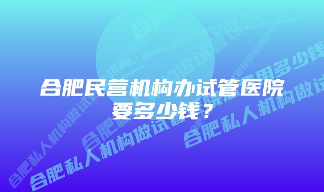 合肥民营机构办试管医院要多少钱？