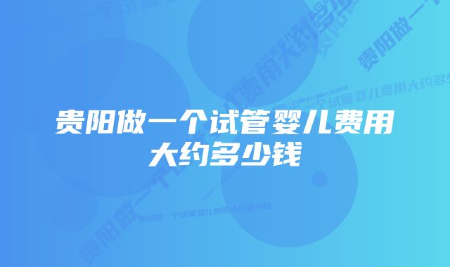 贵阳做一个试管婴儿费用大约多少钱