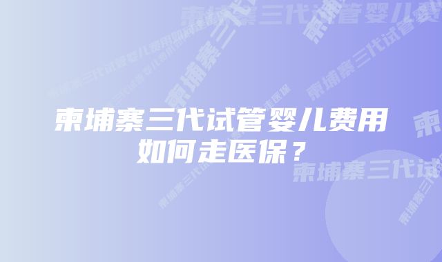 柬埔寨三代试管婴儿费用如何走医保？