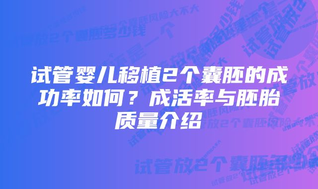 试管婴儿移植2个囊胚的成功率如何？成活率与胚胎质量介绍