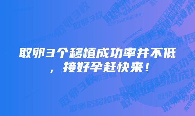 取卵3个移植成功率并不低，接好孕赶快来！