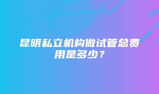 昆明私立机构做试管总费用是多少？