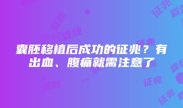 囊胚移植后成功的征兆？有出血、腹痛就需注意了