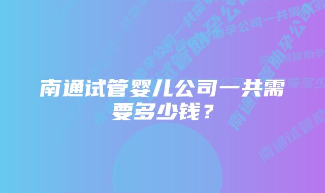 南通试管婴儿公司一共需要多少钱？