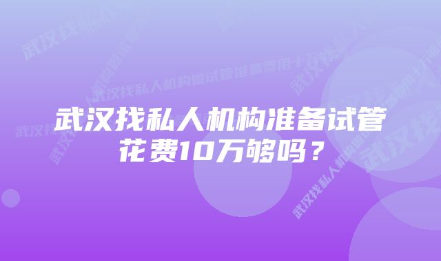 武汉找私人机构准备试管花费10万够吗？