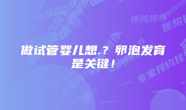 做试管婴儿想.？卵泡发育是关键！