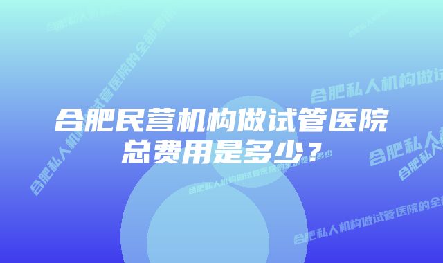 合肥民营机构做试管医院总费用是多少？