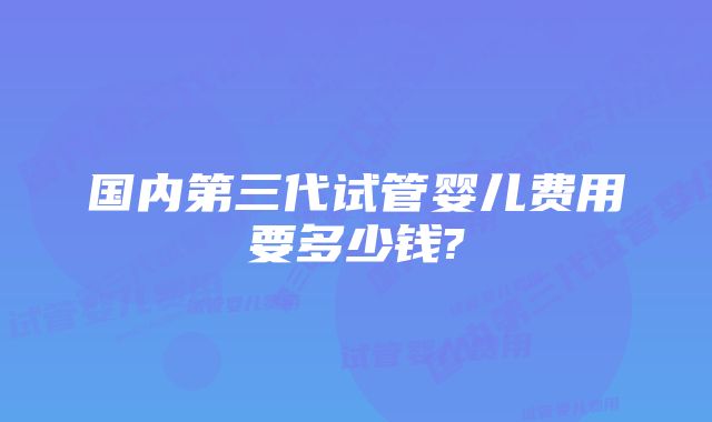 国内第三代试管婴儿费用要多少钱?