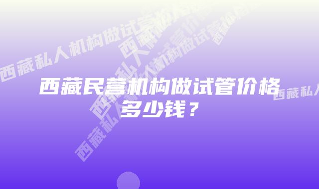 西藏民营机构做试管价格多少钱？