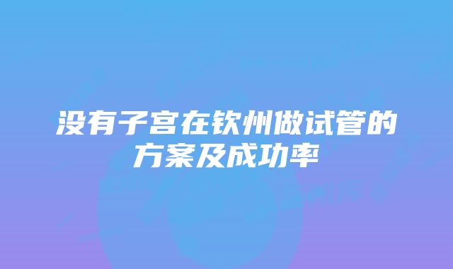 没有子宫在钦州做试管的方案及成功率