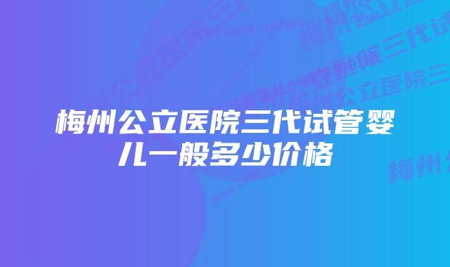 梅州公立医院三代试管婴儿一般多少价格