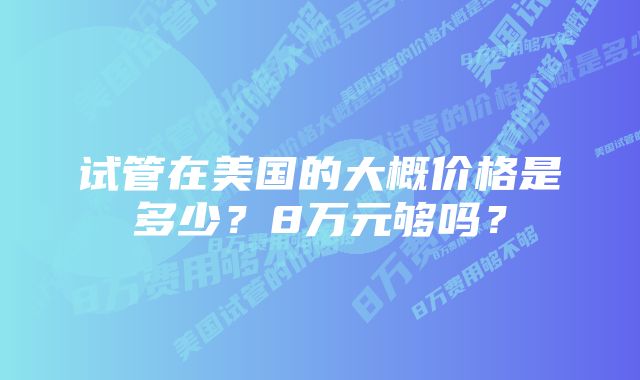 试管在美国的大概价格是多少？8万元够吗？