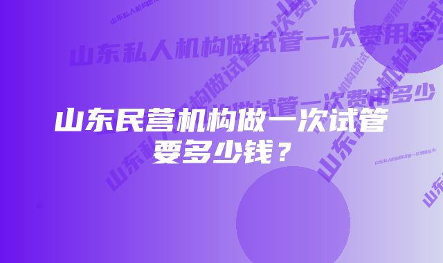 山东民营机构做一次试管要多少钱？