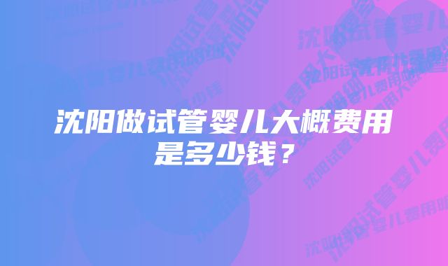 沈阳做试管婴儿大概费用是多少钱？