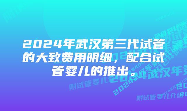 2024年武汉第三代试管的大致费用明细，配合试管婴儿的推出。