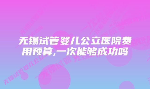 无锡试管婴儿公立医院费用预算,一次能够成功吗