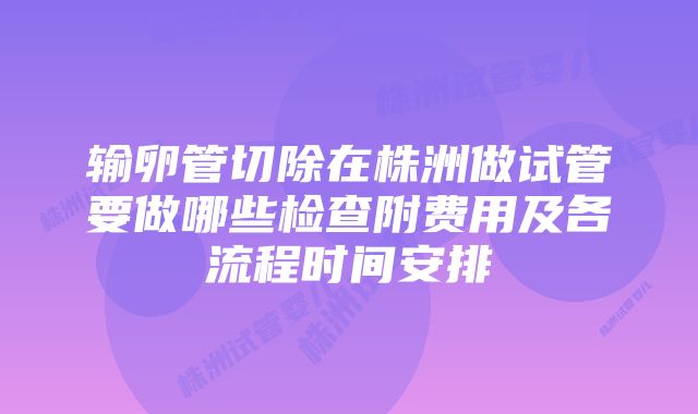 输卵管切除在株洲做试管要做哪些检查附费用及各流程时间安排