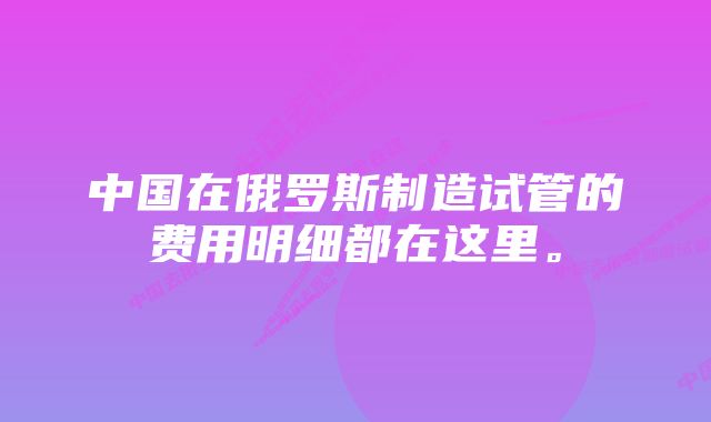 中国在俄罗斯制造试管的费用明细都在这里。