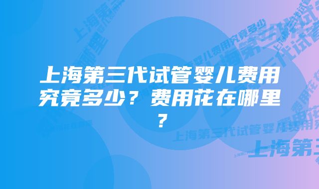 上海第三代试管婴儿费用究竟多少？费用花在哪里？