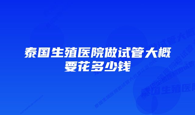 泰国生殖医院做试管大概要花多少钱