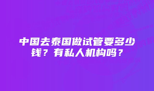 中国去泰国做试管要多少钱？有私人机构吗？