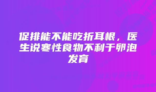 促排能不能吃折耳根，医生说寒性食物不利于卵泡发育