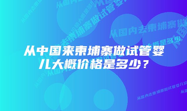 从中国来柬埔寨做试管婴儿大概价格是多少？