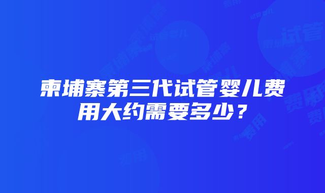 柬埔寨第三代试管婴儿费用大约需要多少？