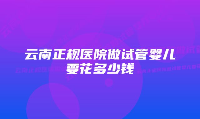 云南正规医院做试管婴儿要花多少钱