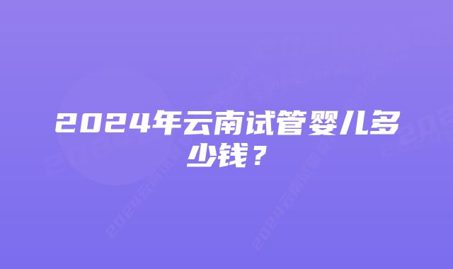 2024年云南试管婴儿多少钱？