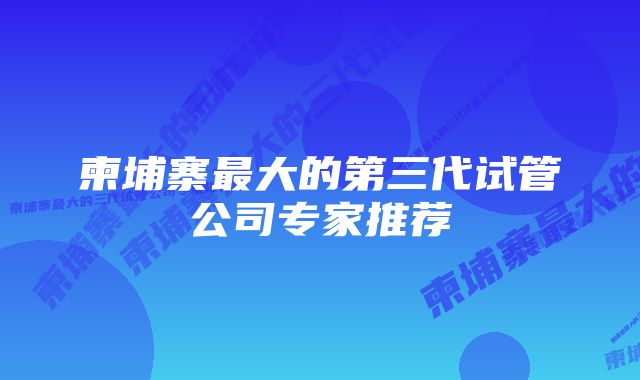 柬埔寨最大的第三代试管公司专家推荐