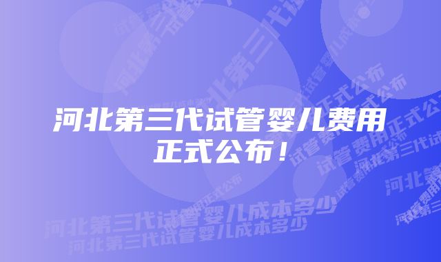 河北第三代试管婴儿费用正式公布！