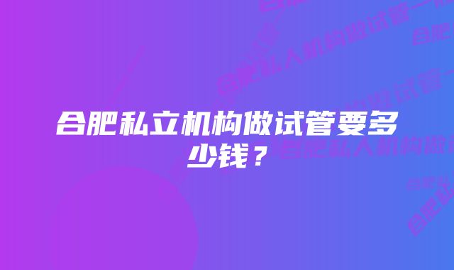 合肥私立机构做试管要多少钱？