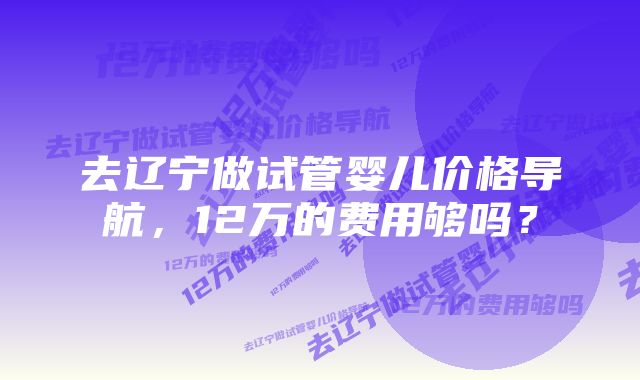 去辽宁做试管婴儿价格导航，12万的费用够吗？