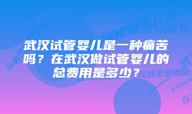 武汉试管婴儿是一种痛苦吗？在武汉做试管婴儿的总费用是多少？