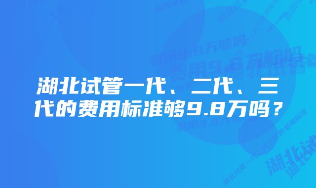 湖北试管一代、二代、三代的费用标准够9.8万吗？