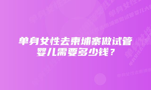 单身女性去柬埔寨做试管婴儿需要多少钱？