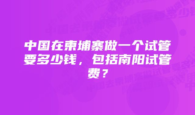 中国在柬埔寨做一个试管要多少钱，包括南阳试管费？