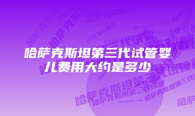 哈萨克斯坦第三代试管婴儿费用大约是多少